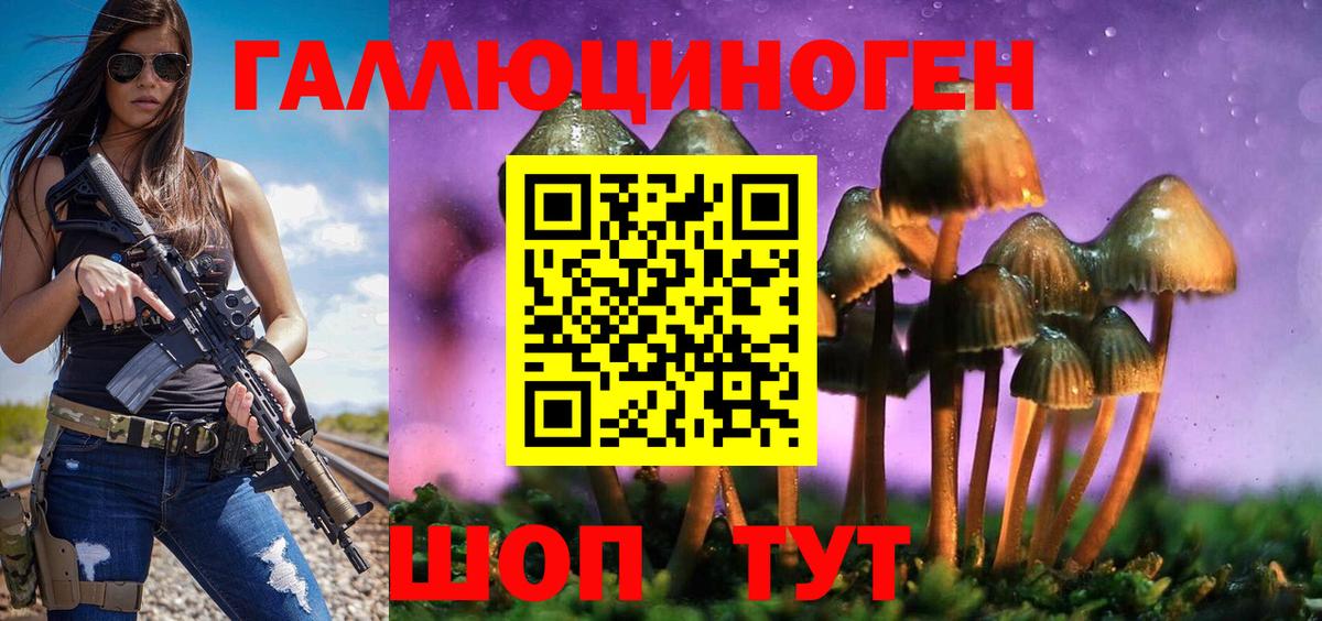 Воткинск  Псилоцибиновые грибы GOLDEN TEACHER  Галлюциногенные грибы Psilocybe  Вход с VPN 