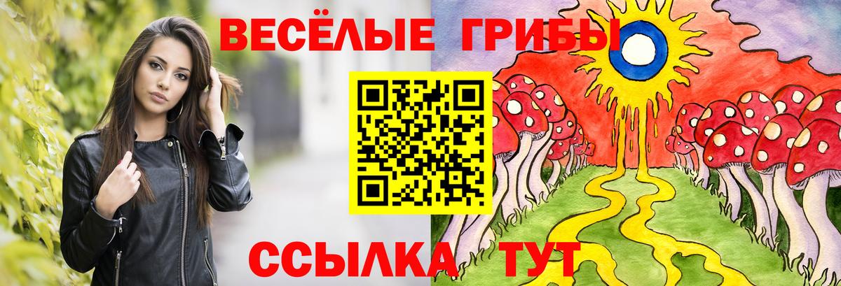 Галлюциногенные грибы Psilocybe Воткинск